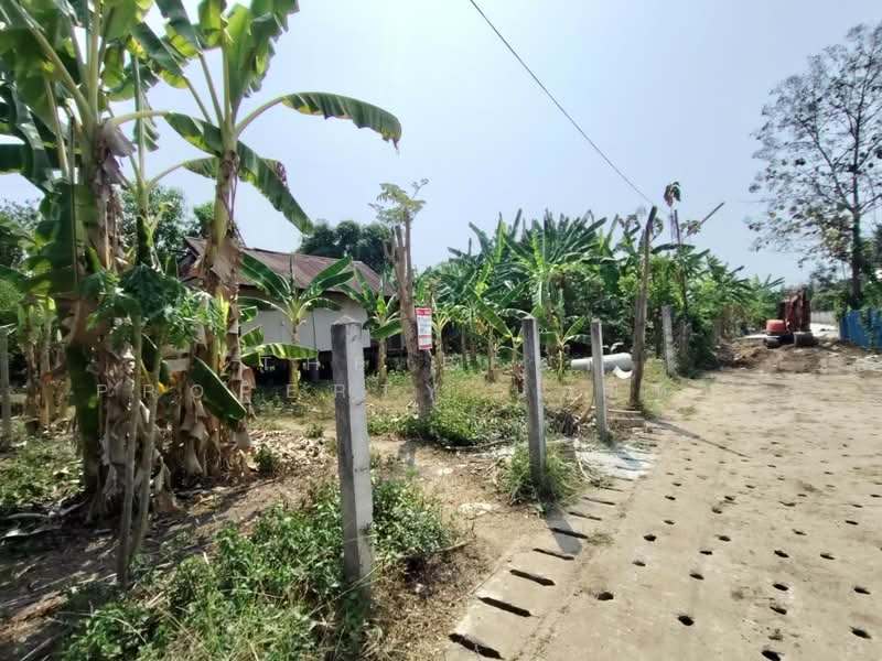 ที่ดินท่าอิฐ อุตรดิตถ์, Uttaradit, Tha It, Muang Uttaradit, Uttaradit, , 784 sqm, Land For Sale, by The Best Property น้อยหน่า, 500195793 - DDproperty.com