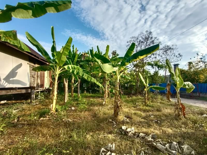 ที่ดินท่าอิฐ อุตรดิตถ์, Uttaradit, Tha It, Muang Uttaradit, Uttaradit, , 784 sqm, Land For Sale, by The Best Property น้อยหน่า, 500195793 - DDproperty.com