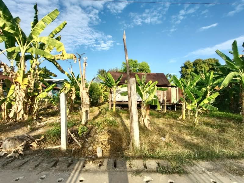 ที่ดินท่าอิฐ อุตรดิตถ์, Uttaradit, Tha It, Muang Uttaradit, Uttaradit, , 784 sqm, Land For Sale, by The Best Property น้อยหน่า, 500195793 - DDproperty.com