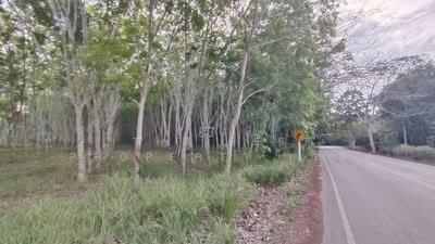 ขาย - ที่ดินแกลง ระยอง, ระยอง