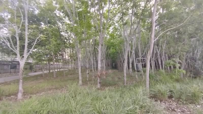 ที่ดินแกลง ระยอง, ระยอง, ทางเกวียน, แกลง, ระยอง, 8,116 ตร.ม., ที่ดิน ขาย, โดย The Best Property กอล์ฟ, 500195858 - DDproperty.com