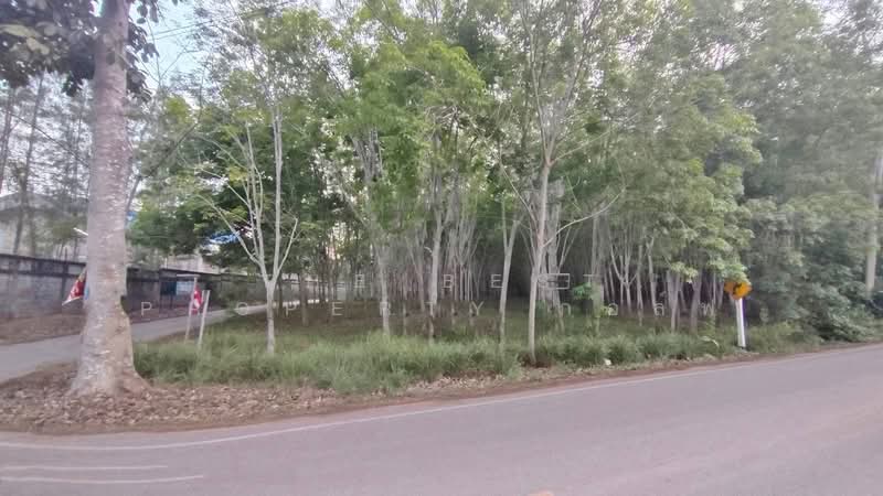 ที่ดินแกลง ระยอง, ระยอง, ทางเกวียน, แกลง, ระยอง, 8,116 ตร.ม., ที่ดิน ขาย, โดย The Best Property กอล์ฟ, 500195858 - DDproperty.com