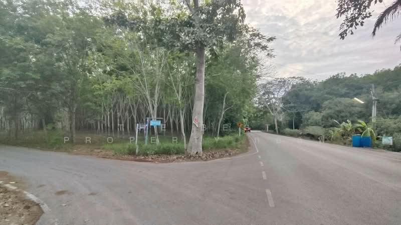 ที่ดินแกลง ระยอง, Rayong, Thang Kwian, Klaeng, Rayong, , 8,116 sqm, Land For Sale, by The Best Property กอล์ฟ, 500195858 - DDproperty.com