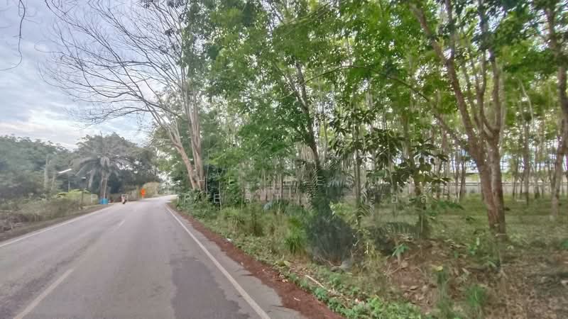 ที่ดินแกลง ระยอง, Rayong, Thang Kwian, Klaeng, Rayong, , 8,116 sqm, Land For Sale, by The Best Property กอล์ฟ, 500195858 - DDproperty.com