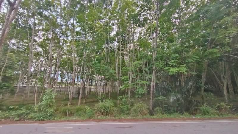 ที่ดินแกลง ระยอง, ระยอง, ทางเกวียน, แกลง, ระยอง, 8,116 ตร.ม., ที่ดิน ขาย, โดย The Best Property กอล์ฟ, 500195858 - DDproperty.com