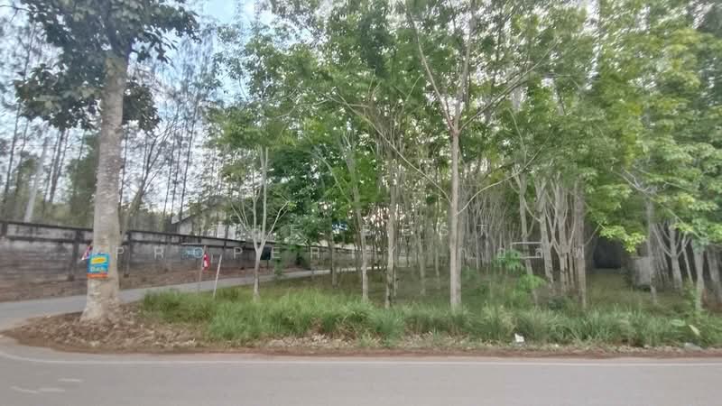 ที่ดินแกลง ระยอง, Rayong, Thang Kwian, Klaeng, Rayong, , 8,116 sqm, Land For Sale, by The Best Property กอล์ฟ, 500195858 - DDproperty.com