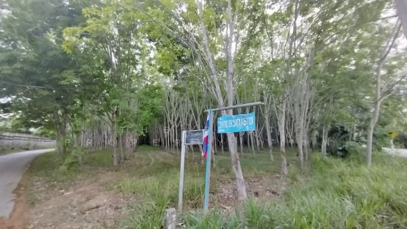 ที่ดินแกลง ระยอง, Rayong, Thang Kwian, Klaeng, Rayong, , 8,116 sqm, Land For Sale, by The Best Property กอล์ฟ, 500195858 - DDproperty.com