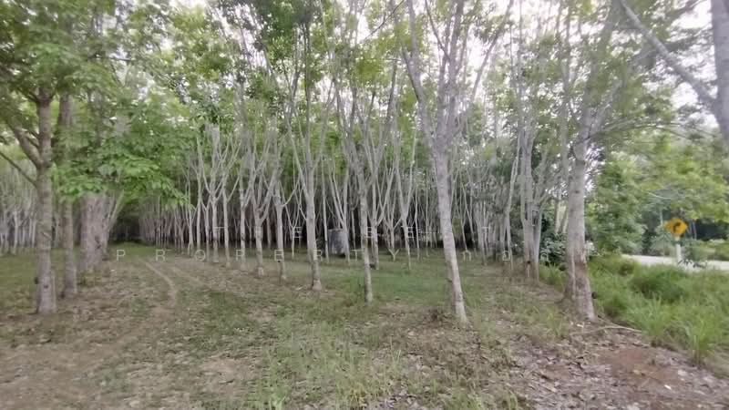 ที่ดินแกลง ระยอง, Rayong, Thang Kwian, Klaeng, Rayong, , 8,116 sqm, Land For Sale, by The Best Property กอล์ฟ, 500195858 - DDproperty.com