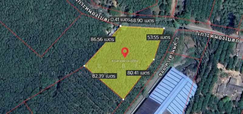 ที่ดินแกลง ระยอง, Rayong, Thang Kwian, Klaeng, Rayong, , 8,116 sqm, Land For Sale, by The Best Property กอล์ฟ, 500195858 - DDproperty.com