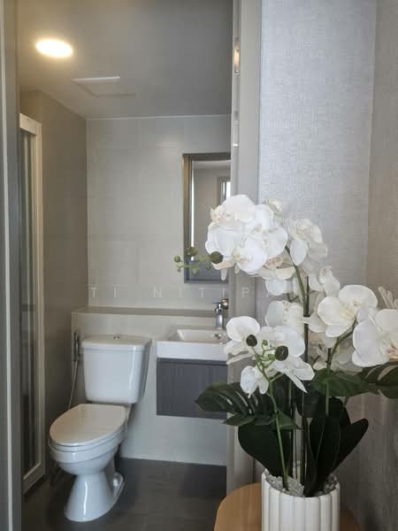 Aspire Sukhumvit-Rama 4 : แอสปาย สุขุมวิท-พระราม 4, กรุงเทพ, 4404 พระราม 4, พระโขนง, คลองเตย, กรุงเทพ, 63 ตร.ม., คอนโด ให้เช่า, โดย Ti Nitipat, 500195884 - DDproperty.com