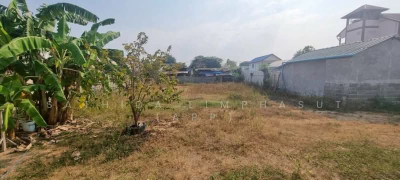 Spacious Land with House for Sale Nong Yai Soi Pattaya, Chon Buri (Pattaya), Na Kloe, Bang Lamung (Pattaya), Chon Buri (Pattaya), 3 Bedrooms, 90 sqm, Single Detached House For Sale, by Sathida Limphasut (App), 500195971 - DDproperty.com
