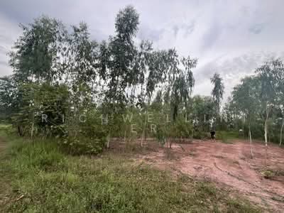 ขาย - ขายที่ดินปากพลี 1 ไร่ ติดถนนสุวรรณศร33 ใกล้ตลาดหนองชะอม-5กม., นครนายก