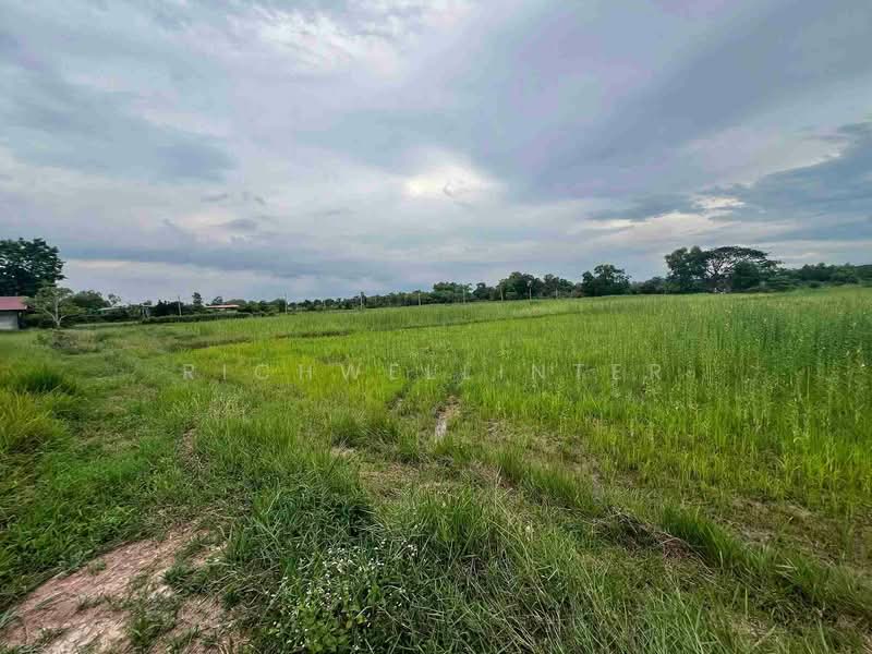 ขายที่ดินปากพลี 1 ไร่ ติดถนนสุวรรณศร33 ใกล้ตลาดหนองชะอม-5กม., นครนายก, ปากพลี, ปากพลี, นครนายก, 2,028 ตร.ม., ที่ดิน ขาย, โดย richwellinter, 500196099 - DDproperty.com