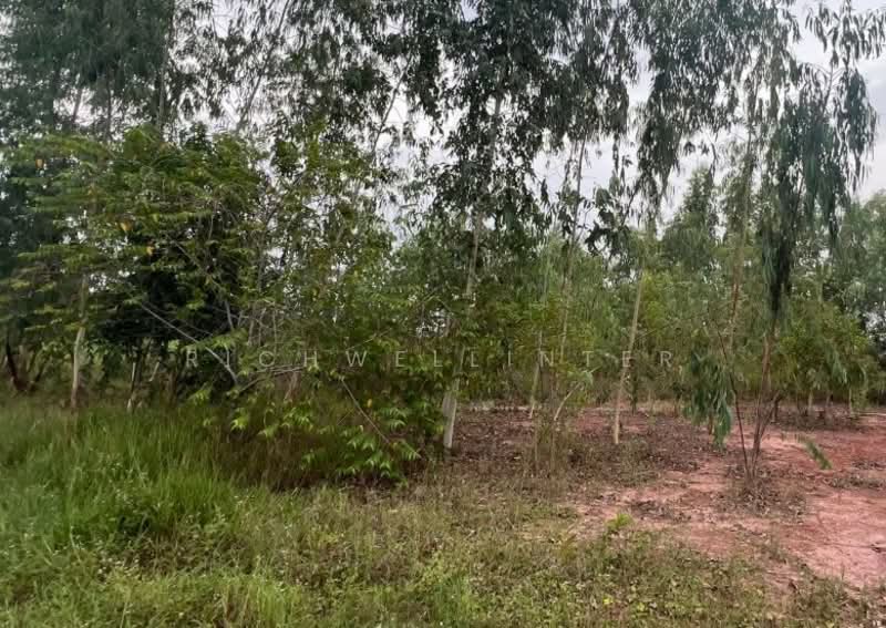 Land for sale in Pak Phli, 1 rai, adjacent to Suwannasorn 33 Road,, Nakhon Nayok, Pak Phli, Pak Phli, Nakhon Nayok, , 2,028 sqm, Land For Sale, by richwellinter, 500196099 - DDproperty.com