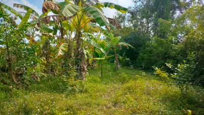 ขาย - ที่ดินปากนคร นครศรีธรรมราช, นครศรีธรรมราช