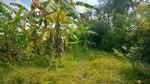 ที่ดินปากนคร นครศรีธรรมราช, นครศรีธรรมราช