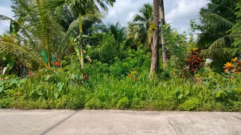 ที่ดินปากนคร นครศรีธรรมราช, Nakhon Si Thammarat, Pak Nakhon, Muang Nakhon Sri Thammarat, Nakhon Si Thammarat, , 2,180 sqm, Land For Sale, by The Best Property พริก, 500196115 - DDproperty.com