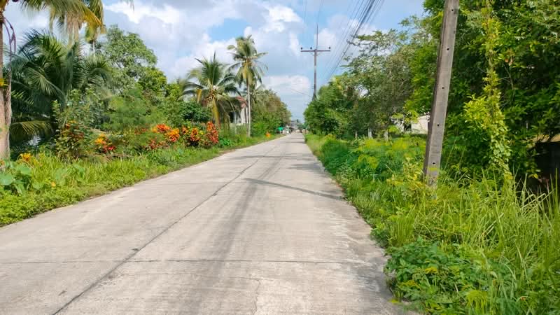 ที่ดินปากนคร นครศรีธรรมราช, Nakhon Si Thammarat, Pak Nakhon, Muang Nakhon Sri Thammarat, Nakhon Si Thammarat, , 2,180 sqm, Land For Sale, by The Best Property พริก, 500196115 - DDproperty.com