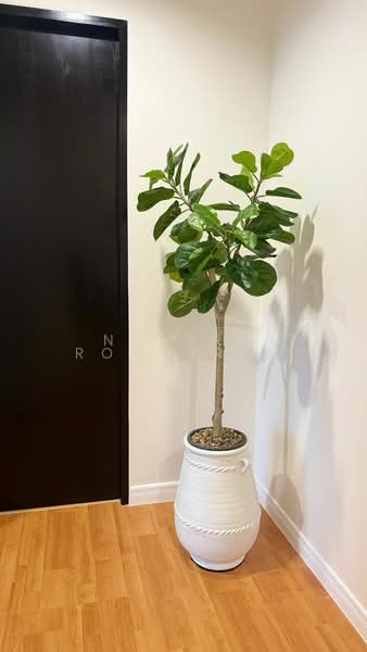 Baan Klang Krung Siam-Pathumwan, Bangkok, Petchburi Road, Thanon Phetchaburi, Ratchathewi, Bangkok, 2 Bedrooms, 98 sqm, Condo For Rent, by Nusara Rongtran, 500196139 - DDproperty.com