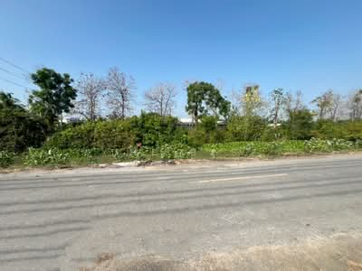 ขาย - ที่ดินสามชุก สุพรรณบุรี, สุพรรณบุรี