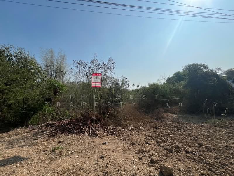 ที่ดินสามชุก สุพรรณบุรี, Suphan Buri, Yan Yao, Sam Chuk, Suphan Buri, , 4,608 sqm, Land For Sale, by The Best Property  ปุ๊ก, 500196144 - DDproperty.com