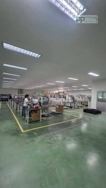 พื้นที่สีเหลือง มีใบอนุญาตประกอบกิจการ รง.4 หนองบอ, Chon Buri (Pattaya), Nong Bon Daeng, Ban Bung, Chon Buri (Pattaya), , 4,130 sqm, Warehouse/Factory For Sale, by PRAWANRUNG KRAHOMWONG, 500196153 - DDproperty.com