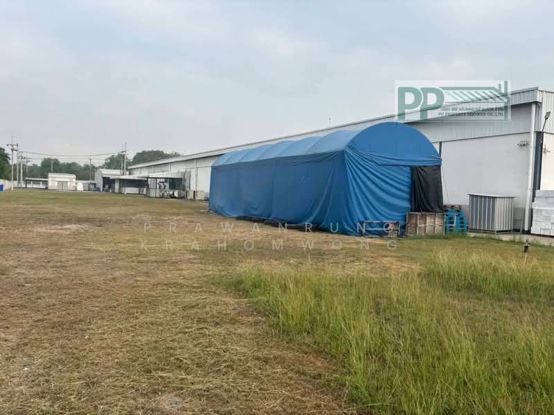 พื้นที่สีเหลือง มีใบอนุญาตประกอบกิจการ รง.4 หนองบอ, Chon Buri (Pattaya), Nong Bon Daeng, Ban Bung, Chon Buri (Pattaya), , 4,130 sqm, Warehouse/Factory For Sale, by PRAWANRUNG KRAHOMWONG, 500196153 - DDproperty.com