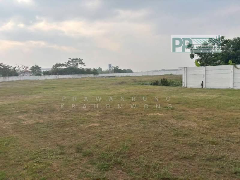 พื้นที่สีเหลือง มีใบอนุญาตประกอบกิจการ รง.4 หนองบอ, Chon Buri (Pattaya), Nong Bon Daeng, Ban Bung, Chon Buri (Pattaya), , 4,130 sqm, Warehouse/Factory For Sale, by PRAWANRUNG KRAHOMWONG, 500196153 - DDproperty.com