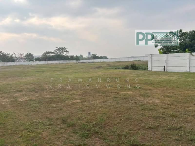 พื้นที่สีเหลือง มีใบอนุญาตประกอบกิจการ รง.4 หนองบอ, Chon Buri (Pattaya), Nong Bon Daeng, Ban Bung, Chon Buri (Pattaya), , 4,130 sqm, Warehouse/Factory For Sale, by PRAWANRUNG KRAHOMWONG, 500196153 - DDproperty.com