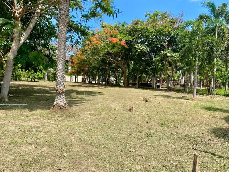 มาบประชัน, ชลบุรี, อ่างเก็บน้ำมาบประชัน, โป่ง, บางละมุง, ชลบุรี, 928 ตร.ม., ที่ดิน ขาย, โดย Sujiphat Sreewongpan, 500196169 - DDproperty.com