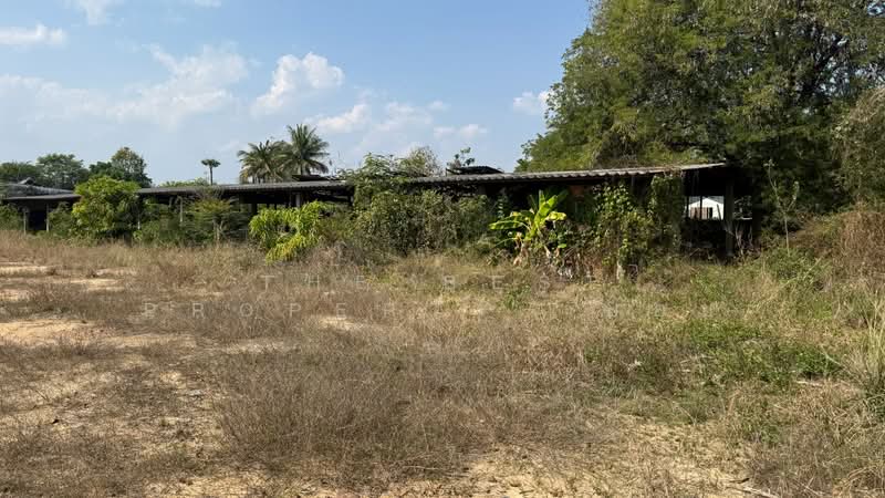 ที่ดินเวียงหนองล่อง ลำพูน, Lamphun, Nong Long, Wieng Nong long, Lamphun, , 3,168 sqm, Land For Sale, by The Best Property  บอย, 500196219 - DDproperty.com