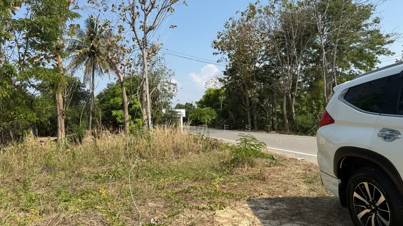 ที่ดินเวียงหนองล่อง ลำพูน, Lamphun, Nong Long, Wieng Nong long, Lamphun, , 3,168 sqm, Land For Sale, by The Best Property  บอย, 500196219 - DDproperty.com