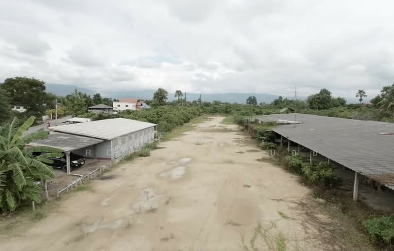 ที่ดินเวียงหนองล่อง ลำพูน, Lamphun, Nong Long, Wieng Nong long, Lamphun, , 3,168 sqm, Land For Sale, by The Best Property  บอย, 500196219 - DDproperty.com