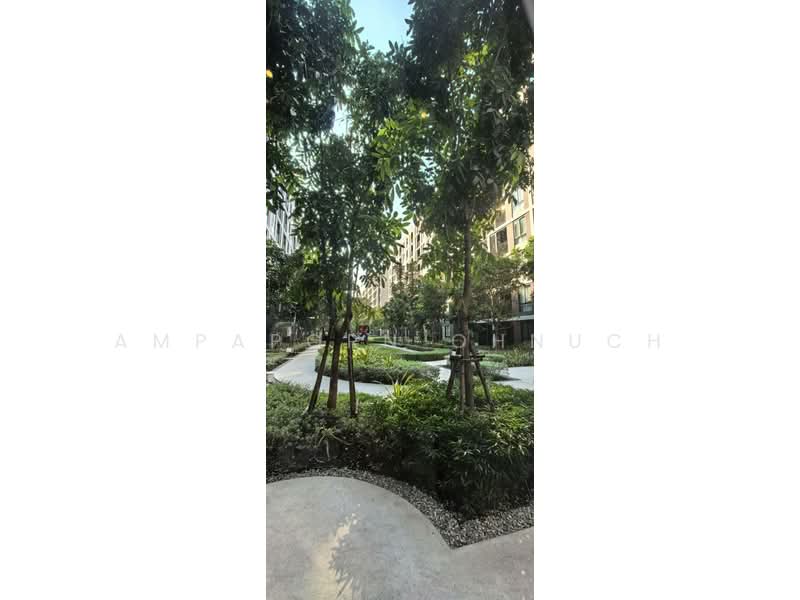 Nue Core Khu Khot Station, Pathum Thani, Khu Khot, Lam Luk Ka, Pathum Thani, 1 Bedroom, 26 sqm, Condo For Rent, by Ampaporn Ohnuch, 500196322 - DDproperty.com