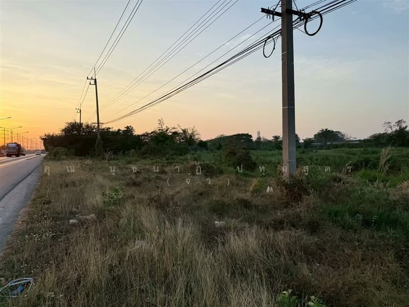 ที่ดินเปล่า 11 ไร่ 41.1 ตร.ว. ที่ดิน ตรงข้ามปั้มคาลเท็กซ์ สาขาทิพย์หิรัณ ปิโตรเลียม บางเลน นครปฐม, Nakhon Pathom, ถนนปทุมธานี-บางเลน, Bang Len, Bang Len, Nakhon Pathom, , 17,764 sqm, Land For Sale, by คุณ นุชนาฏ ปทุมสูตร (จ๋า), 500196325 - DDproperty.com