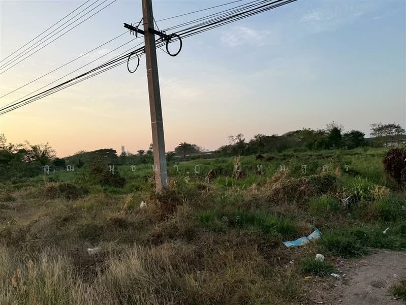 ที่ดินเปล่า 11 ไร่ 41.1 ตร.ว. ที่ดิน ตรงข้ามปั้มคาลเท็กซ์ สาขาทิพย์หิรัณ ปิโตรเลียม บางเลน นครปฐม, Nakhon Pathom, ถนนปทุมธานี-บางเลน, Bang Len, Bang Len, Nakhon Pathom, , 17,764 sqm, Land For Sale, by คุณ นุชนาฏ ปทุมสูตร (จ๋า), 500196325 - DDproperty.com