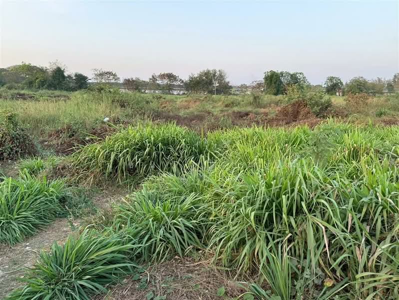 ที่ดินเปล่า 11 ไร่ 41.1 ตร.ว. ที่ดิน ตรงข้ามปั้มคาลเท็กซ์ สาขาทิพย์หิรัณ ปิโตรเลียม บางเลน นครปฐม, นครปฐม, ถนนปทุมธานี-บางเลน, บางเลน, บางเลน, นครปฐม, 17,764 ตร.ม., ที่ดิน ขาย, โดย คุณ นุชนาฏ ปทุมสูตร (จ๋า), 500196325 - DDproperty.com