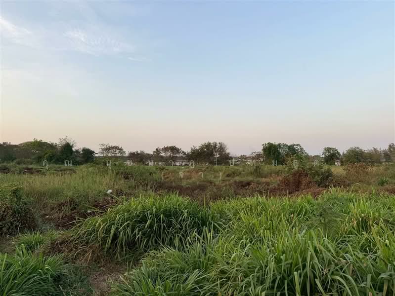 ที่ดินเปล่า 11 ไร่ 41.1 ตร.ว. ที่ดิน ตรงข้ามปั้มคาลเท็กซ์ สาขาทิพย์หิรัณ ปิโตรเลียม บางเลน นครปฐม, นครปฐม, ถนนปทุมธานี-บางเลน, บางเลน, บางเลน, นครปฐม, 17,764 ตร.ม., ที่ดิน ขาย, โดย คุณ นุชนาฏ ปทุมสูตร (จ๋า), 500196325 - DDproperty.com