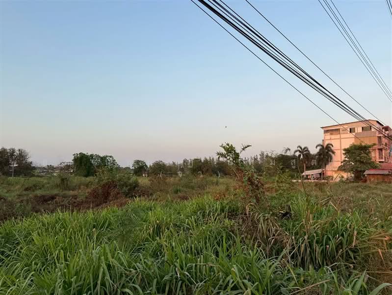 ที่ดินเปล่า 11 ไร่ 41.1 ตร.ว. ที่ดิน ตรงข้ามปั้มคาลเท็กซ์ สาขาทิพย์หิรัณ ปิโตรเลียม บางเลน นครปฐม, Nakhon Pathom, ถนนปทุมธานี-บางเลน, Bang Len, Bang Len, Nakhon Pathom, , 17,764 sqm, Land For Sale, by คุณ นุชนาฏ ปทุมสูตร (จ๋า), 500196325 - DDproperty.com