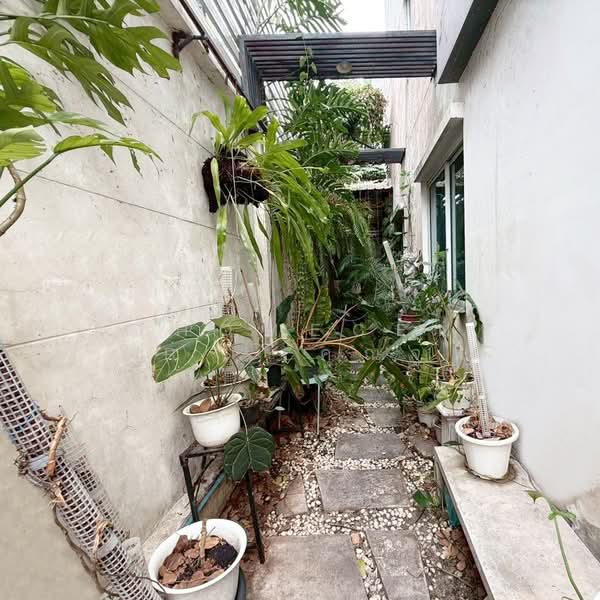 Town Plus Kaset - Nawamin, Bangkok, Klong Lamcheak Road, Nuan Chan, Bueng Kum, Bangkok, 3 Bedrooms, 195 sqm, Townhouse For Sale, by AJHOMECENTER - คุณจูน, 500196505 - DDproperty.com