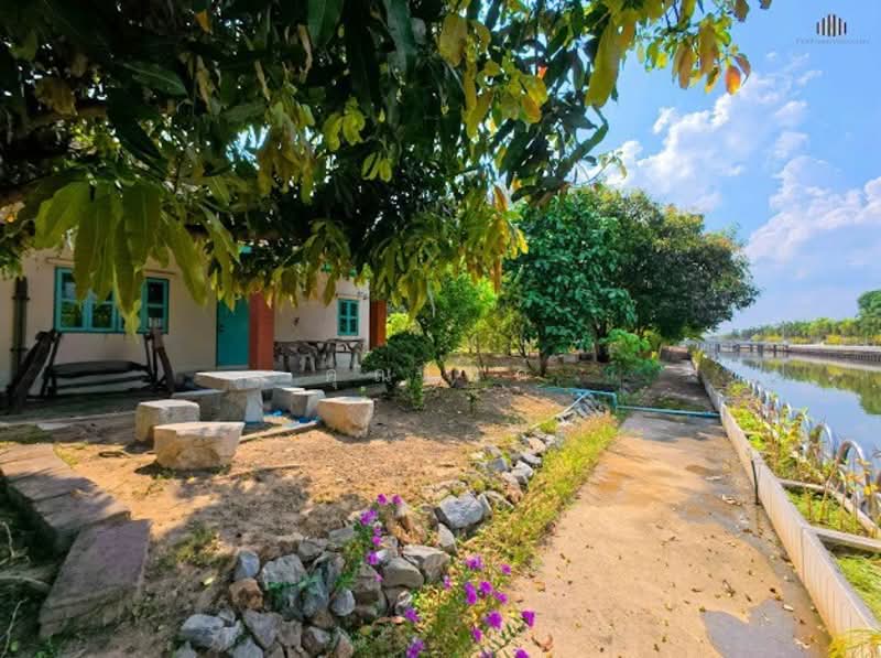 แปลงสวยหายาก เหมาะสร้างบ้านหรู!! ขายที่ดินเปล่า 4 ไร่ (1,600 ตรว.) เลียบคลองทวีวัฒนา, Bangkok, ถนน ทวีวัฒนา, Sala Thammasop, Thawi Watthana, Bangkok, , 6,400 sqm, Land For Sale, by คุณไทด์, 500196509 - DDproperty.com