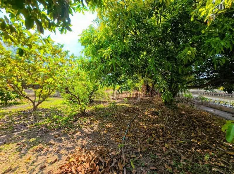 แปลงสวยหายาก เหมาะสร้างบ้านหรู!! ขายที่ดินเปล่า 4 ไร่ (1,600 ตรว.) เลียบคลองทวีวัฒนา, Bangkok, ถนน ทวีวัฒนา, Sala Thammasop, Thawi Watthana, Bangkok, , 6,400 sqm, Land For Sale, by คุณไทด์, 500196509 - DDproperty.com