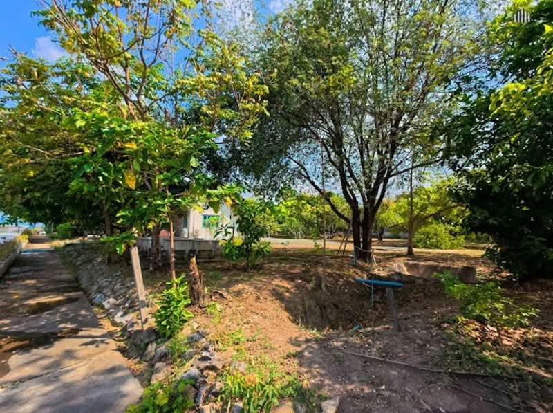 แปลงสวยหายาก เหมาะสร้างบ้านหรู!! ขายที่ดินเปล่า 4 ไร่ (1,600 ตรว.) เลียบคลองทวีวัฒนา, กรุงเทพ, ถนน ทวีวัฒนา, ศาลาธรรมสพน์, ทวีวัฒนา, กรุงเทพ, 6,400 ตร.ม., ที่ดิน ขาย, โดย คุณไทด์, 500196509 - DDproperty.com