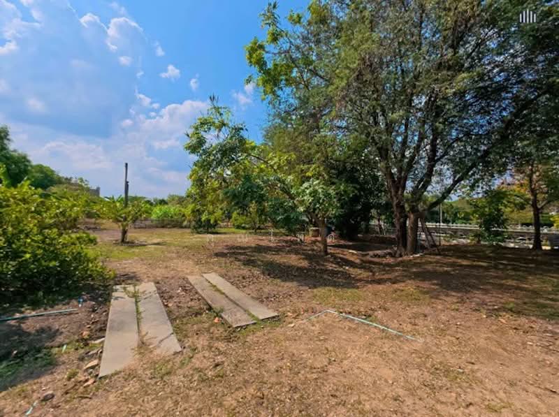 แปลงสวยหายาก เหมาะสร้างบ้านหรู!! ขายที่ดินเปล่า 4 ไร่ (1,600 ตรว.) เลียบคลองทวีวัฒนา, กรุงเทพ, ถนน ทวีวัฒนา, ศาลาธรรมสพน์, ทวีวัฒนา, กรุงเทพ, 6,400 ตร.ม., ที่ดิน ขาย, โดย คุณไทด์, 500196509 - DDproperty.com