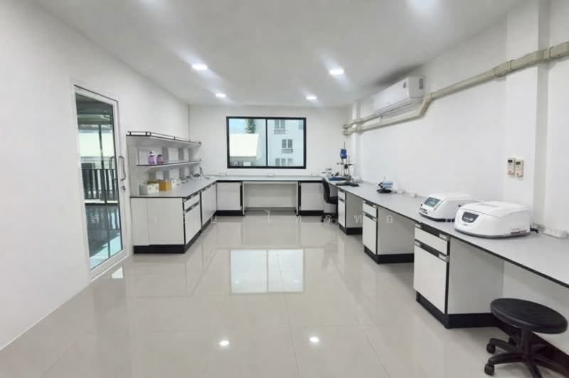 ซอยสุขุมวิท 50 ถนนสุขุมวิท ซอยย่อย สวัสดี 4 แขวงพระโขนง เขตคลองเตย กทม. 10110, กรุงเทพ, สุขุมวิท, พระโขนง, คลองเตย, กรุงเทพ, 1,300 ตร.ม., บ้านเดี่ยว ขาย, โดย สง่าชัย ไทรทองคำ, 500196525 - DDproperty.com