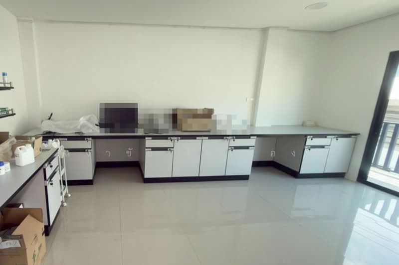 ซอยสุขุมวิท 50 ถนนสุขุมวิท ซอยย่อย สวัสดี 4 แขวงพระโขนง เขตคลองเตย กทม. 10110, กรุงเทพ, สุขุมวิท, พระโขนง, คลองเตย, กรุงเทพ, 1,300 ตร.ม., บ้านเดี่ยว ขาย, โดย สง่าชัย ไทรทองคำ, 500196525 - DDproperty.com