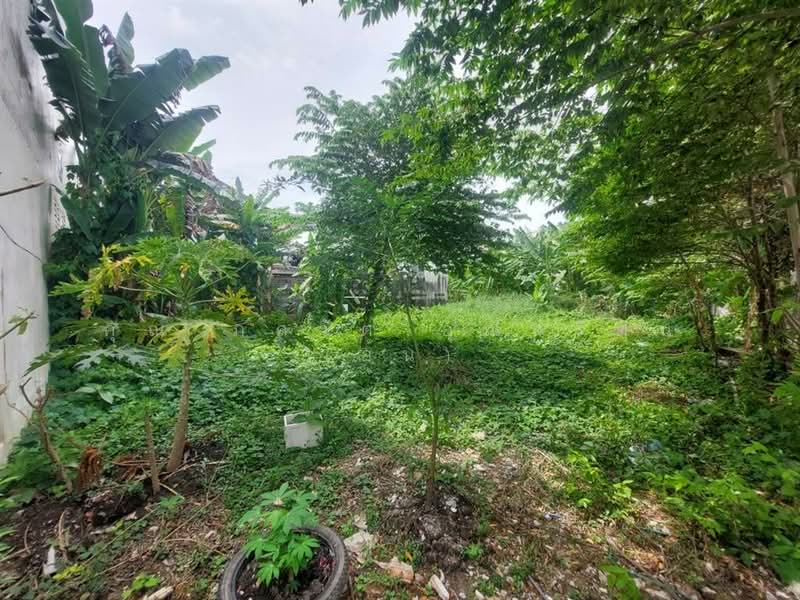 ที่ดินเปล่า 92.2 ตร.ว. ที่ดิน ซอยจรัญสนิทวงศ์สนิท37 (ซอยอินนายพล3) ถนนจรัญสนิทวงศ์, กรุงเทพ, ถนนจรัญสนิทวงศ์, บางขุนศรี, บางกอกน้อย, กรุงเทพ, 368 ตร.ม., ที่ดิน ขาย, โดย คุณ ภควัต อุณหรัตน์ (อ้น), 500196553 - DDproperty.com