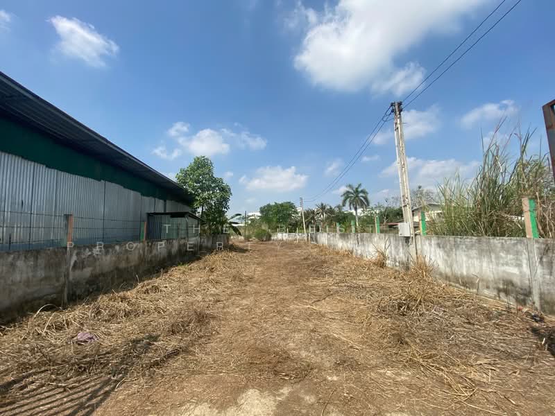 For Sale - ที่ดินพร้อมสิ่งปลูกสร้างหนองใหญ่ ชลบุรี, Chon Buri (Pattaya)