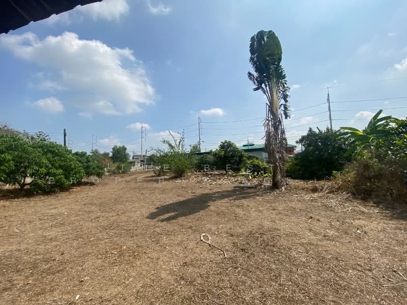 For Sale - ที่ดินพร้อมสิ่งปลูกสร้างหนองใหญ่ ชลบุรี, Chon Buri (Pattaya)