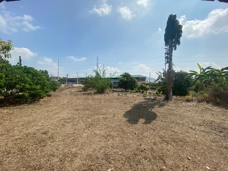 For Sale - ที่ดินพร้อมสิ่งปลูกสร้างหนองใหญ่ ชลบุรี, Chon Buri (Pattaya)